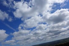 P1010448.jpg