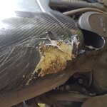 20170417_150457.jpg