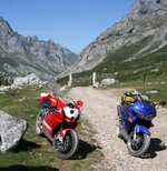 trail2.jpg