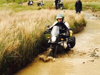 IMG_3800.jpg