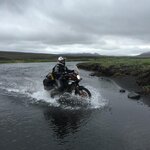 IMG_5275.jpg