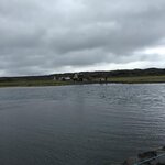 IMG_5279.jpg