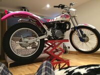 TY R s-l1600.jpg