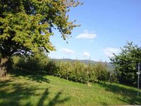 DSC01075.JPG