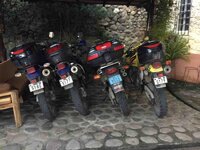 IMG_6852.jpg