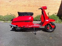 lammy.jpg