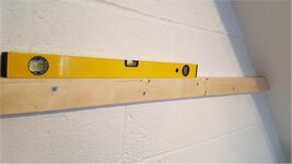 Shelf 1.jpg