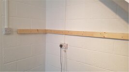 Shelf 2.jpg