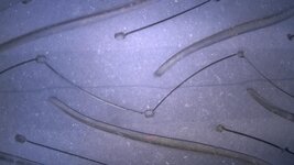 WP_20170810_003.jpg