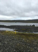 IMG_5331.jpg