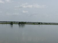 IMG_8222.JPG