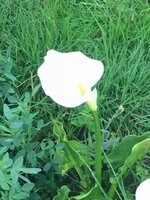 IMG_6555.jpg