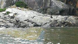 IMG_20180228_114436.jpg