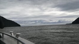 IMG_20180228_115849.jpg