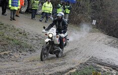 IMG_1935.jpg