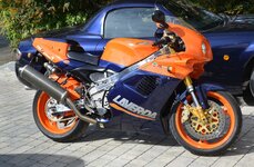 DSC_0379rr244.jpg