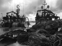 Killebegs 2 Small IMG_2594.jpg