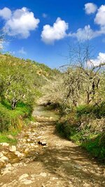 IMG_0512.JPG