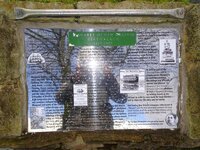 DSC01376.jpg