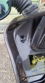 FB_IMG_1503001973703.jpg