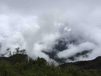 IMG_6647.jpg