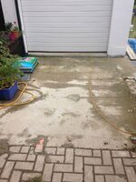IMG_0977.jpg
