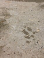 IMG_0978.jpg