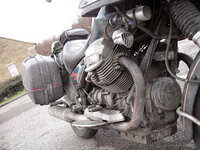 salty guzzi.jpg