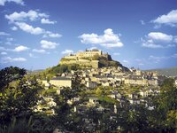 cité et château 2015.jpg