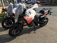 IMG_5973.jpg
