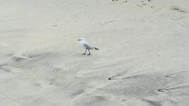 IMG_20180302_105904.jpg