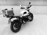 IMG_2113.jpg