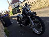 IMG_2220.jpg