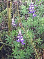 IMG_6714.JPG