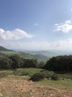 IMG_0515.JPG