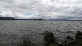 IMG_20180304_143212.jpg