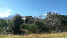 IMG_20180305_102802.jpg