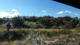 IMG_20180305_102843.jpg