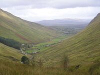 adam and donegal 013.jpg