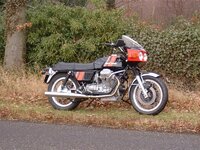 guzzi (medium).jpg