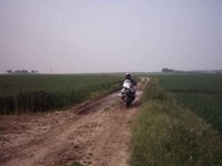 img_0012.jpg