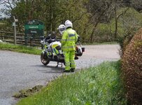plod small.jpg plod small.jpg