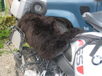 img_0037.jpg