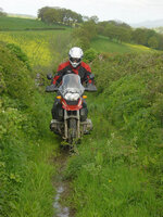 ll06.jpg