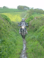 ll07.jpg