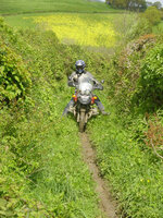 ll08.jpg