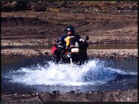 8604680.crossing.jpg