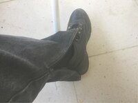 IMG_2163.jpg