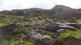 20170604_132916.jpg
