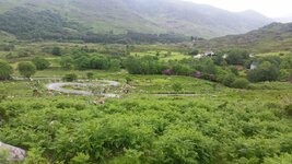 20170604_135950.jpg